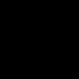 Meet your Posher, Isaiah