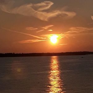 Meet your Posher, Darlene