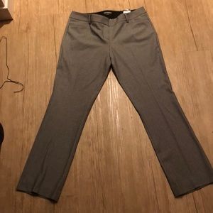 Express Columnist dress pant