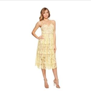 Donna Morgan Lace Dress