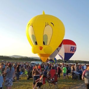 Meet your Posher, Carol