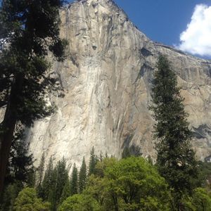 Meet your Posher, Leisa