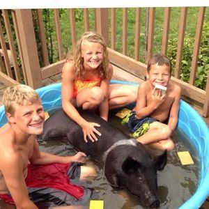 Meet your Posher, Karen