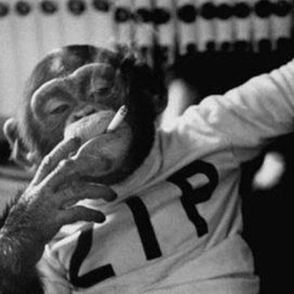 Meet your Posher, Rudy