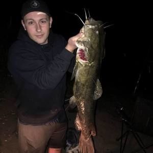 Meet your Posher, Joe