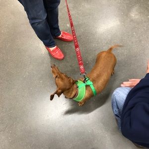 Meet your Posher, Ryan