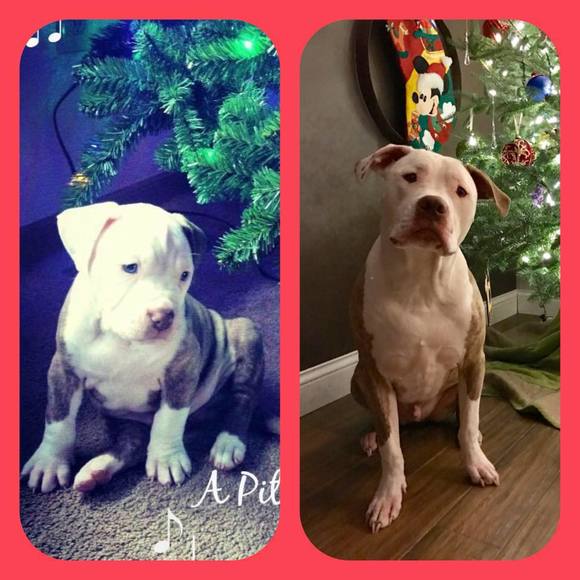 Meet your Posher, Carrielyn - Picture 1 of 1