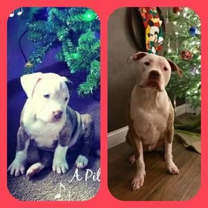 Meet your Posher, Carrielyn