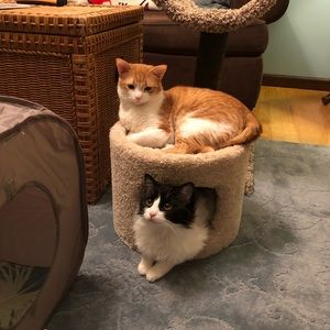 Meet your Posher, Marissa