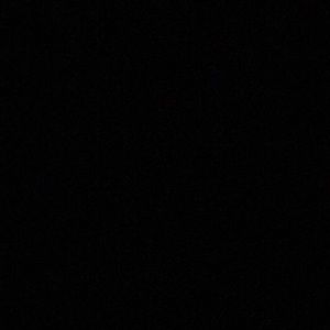 Meet your Posher, Brady