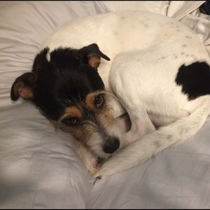 Meet your Posher, Virginia