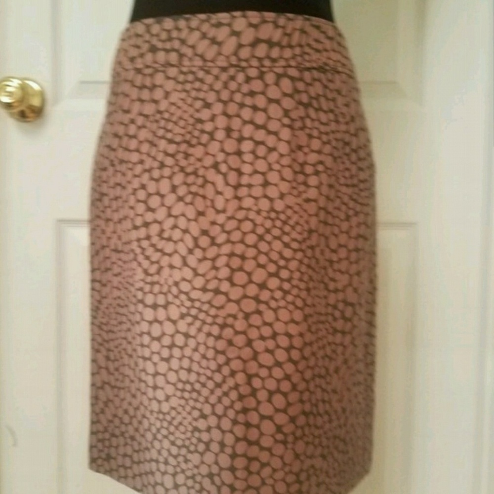 NWT Ann Taylor Skirt