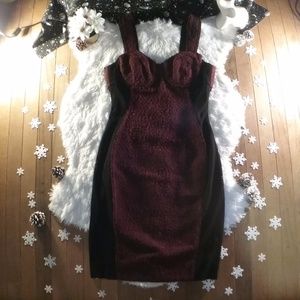 Beautiful Bodice Bodycon Dress