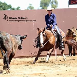 Meet your Posher, Laurel
