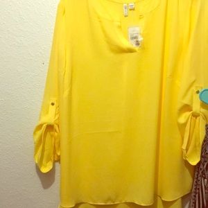 Cato dress shirt