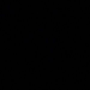 Meet your Posher, Samuel