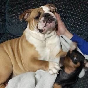 Meet your Posher, Danielle