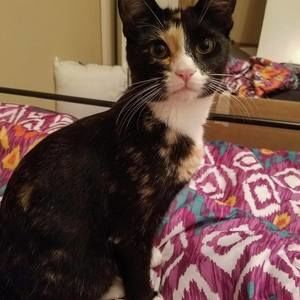 Meet your Posher, Brianna