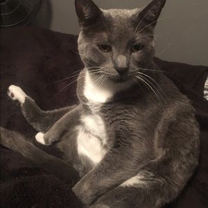 Meet your Posher, Brittany