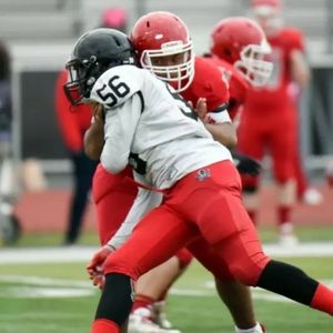 Meet your Posher, Elisha