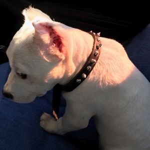 Meet your Posher, Adolfo