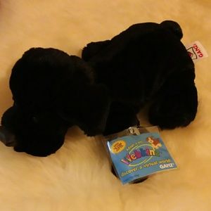 Webkinz Black Lab