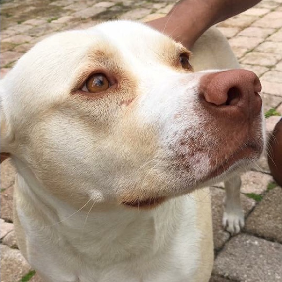 Meet your Posher, Zachary - Picture 1 of 1