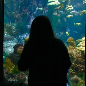 Meet your Posher, Meg