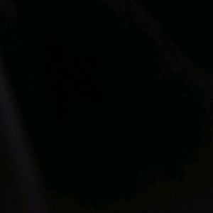 Meet your Posher, De`marrien