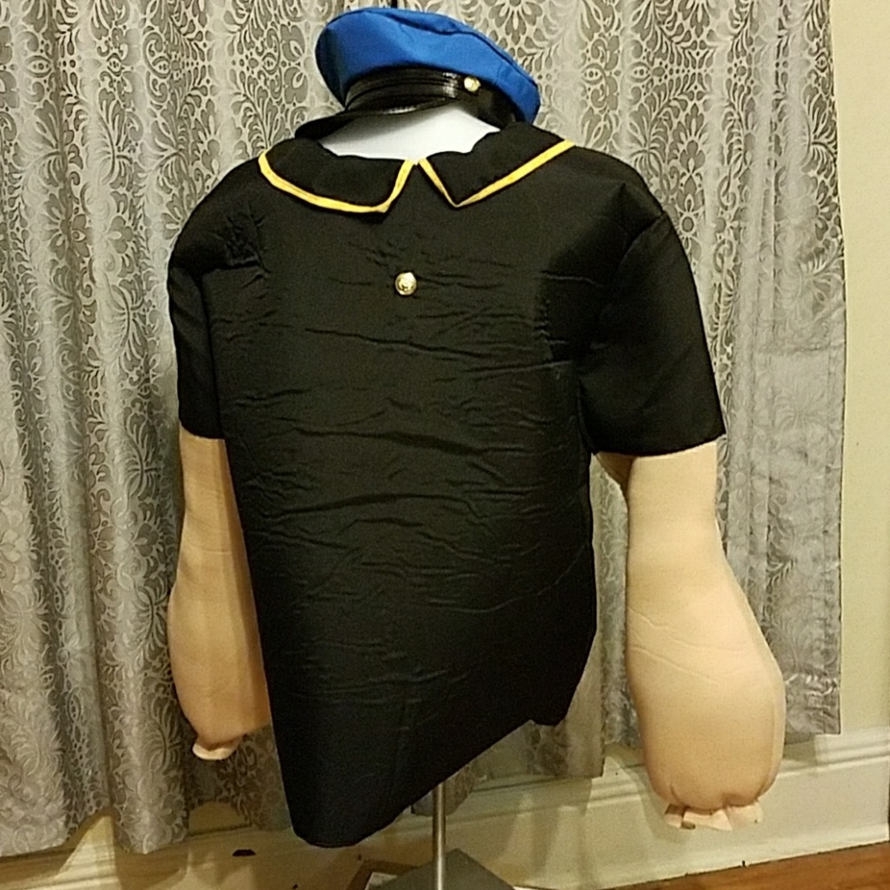 Brutus men's costume