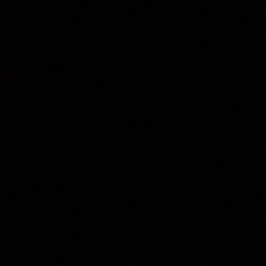 Meet your Posher, Zane