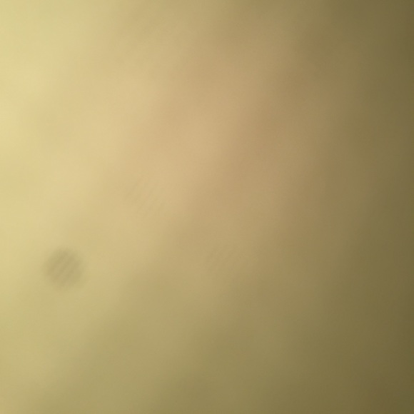 Meet your Posher, Logan - Picture 1 of 1