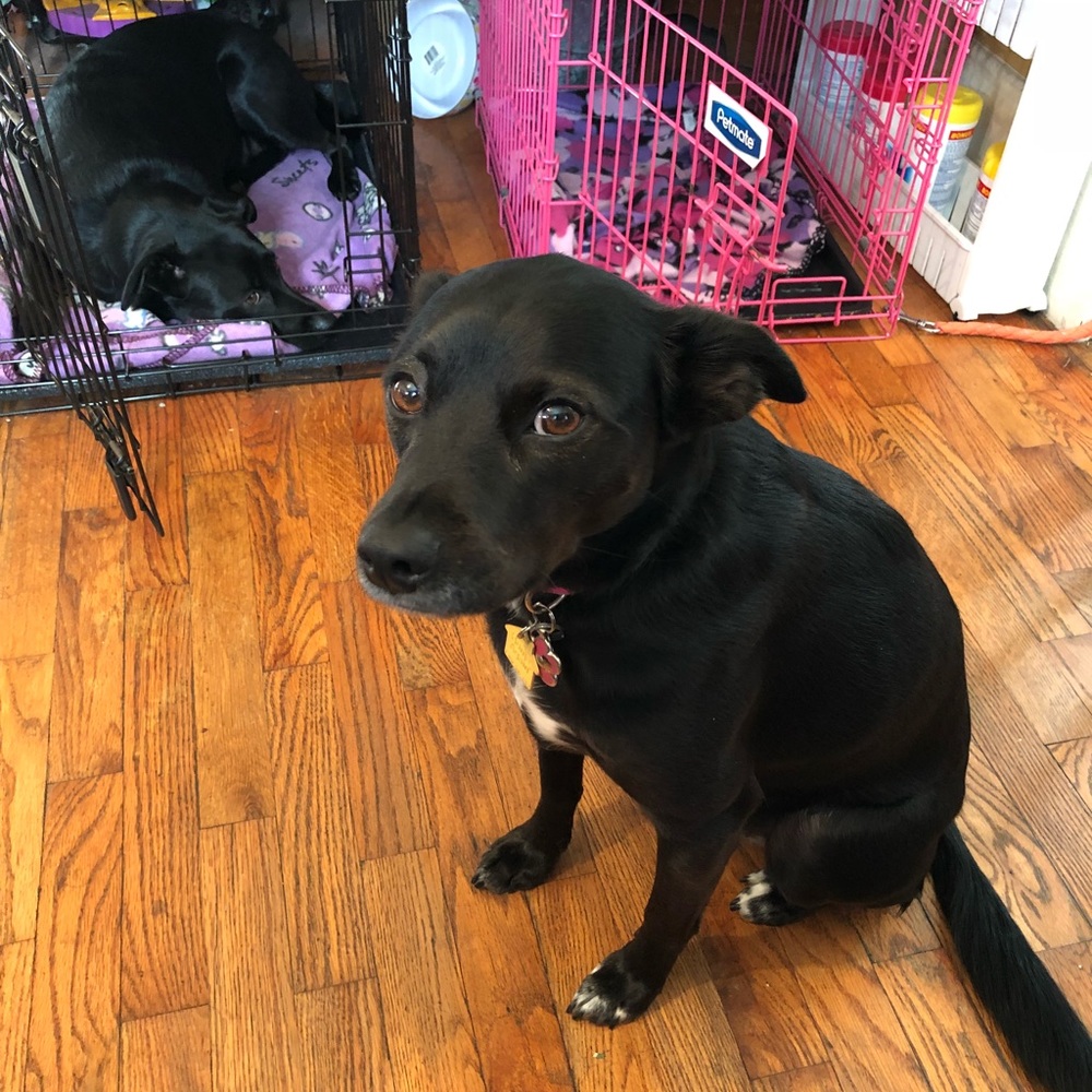 Meet your Posher, Sabrina