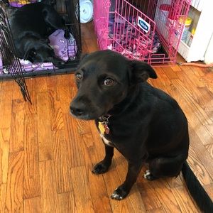 Meet your Posher, Sabrina