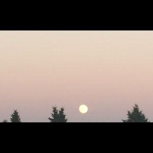 Meet your Posher, Daisy