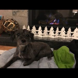 Meet your Posher, Kelsey