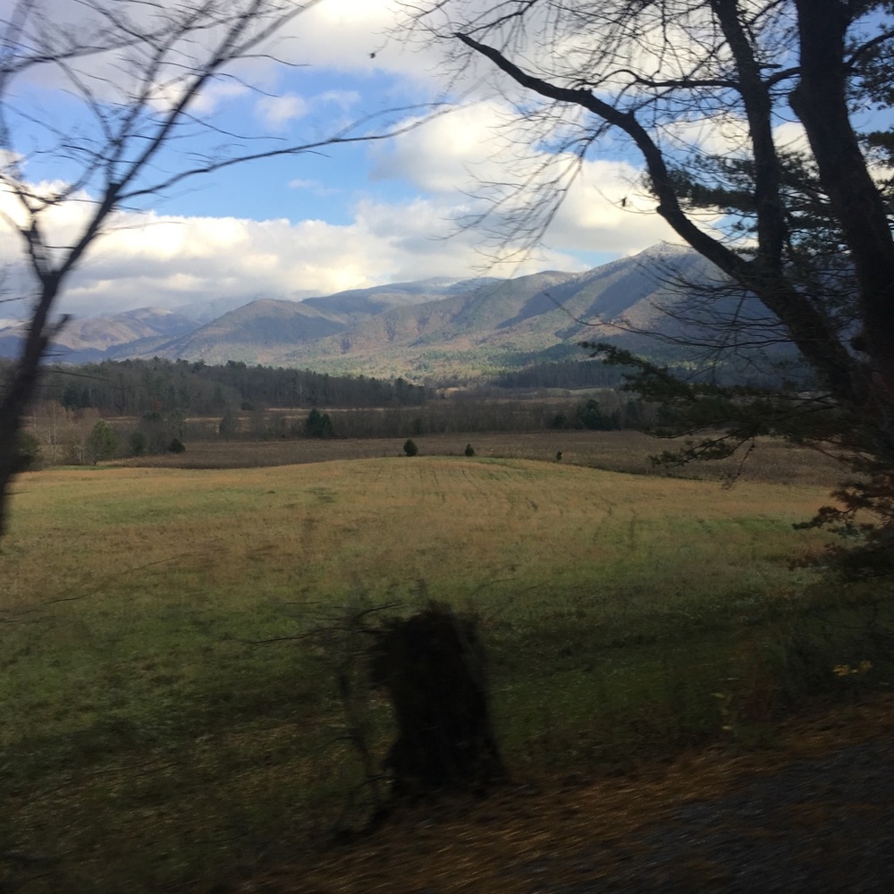 Meet your Posher, Valiece