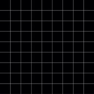 Meet your Posher, Kyra