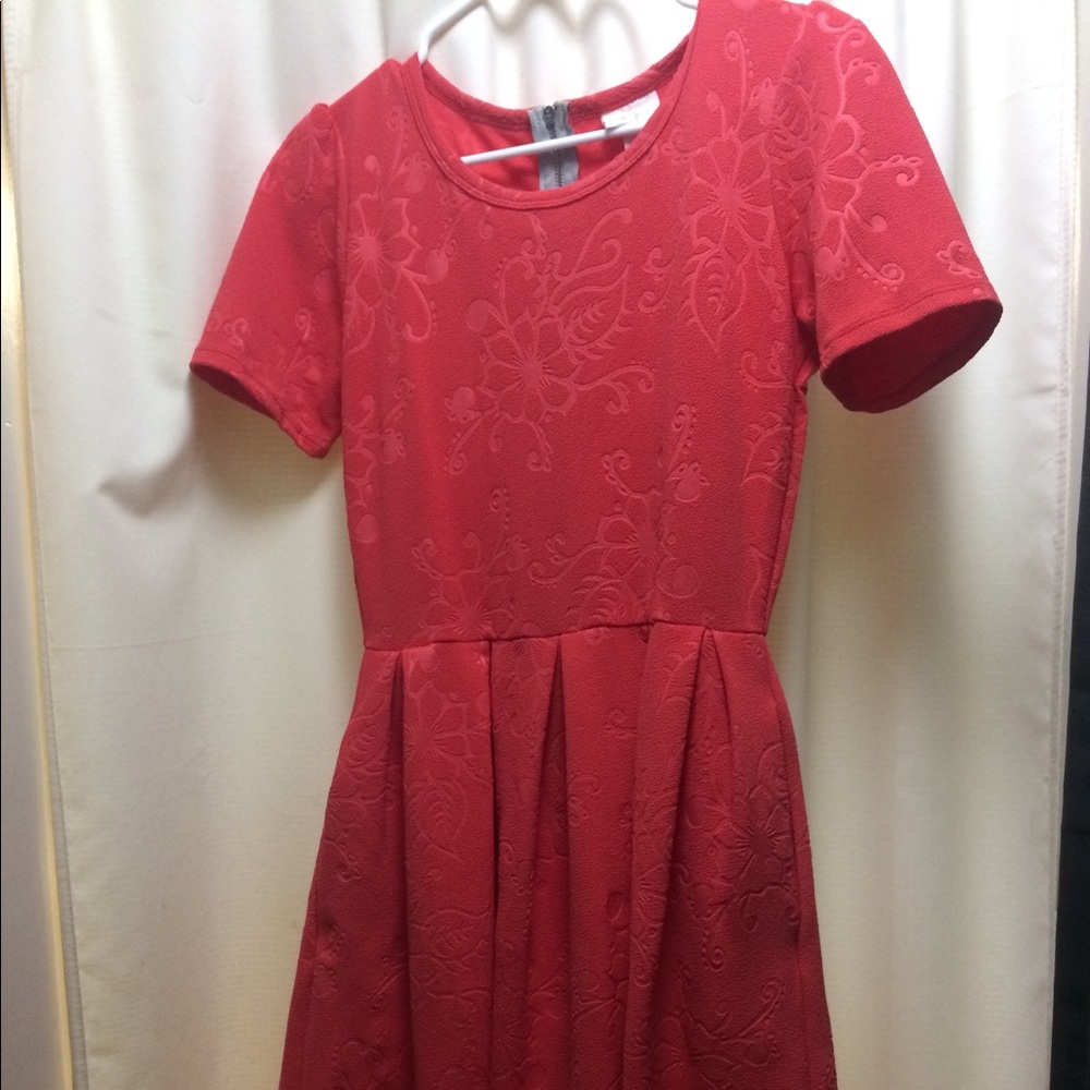 Small Amelia lularoe