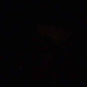 Meet your Posher, Will