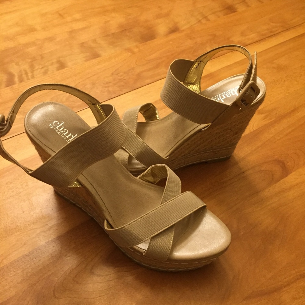 Charles David Sandals