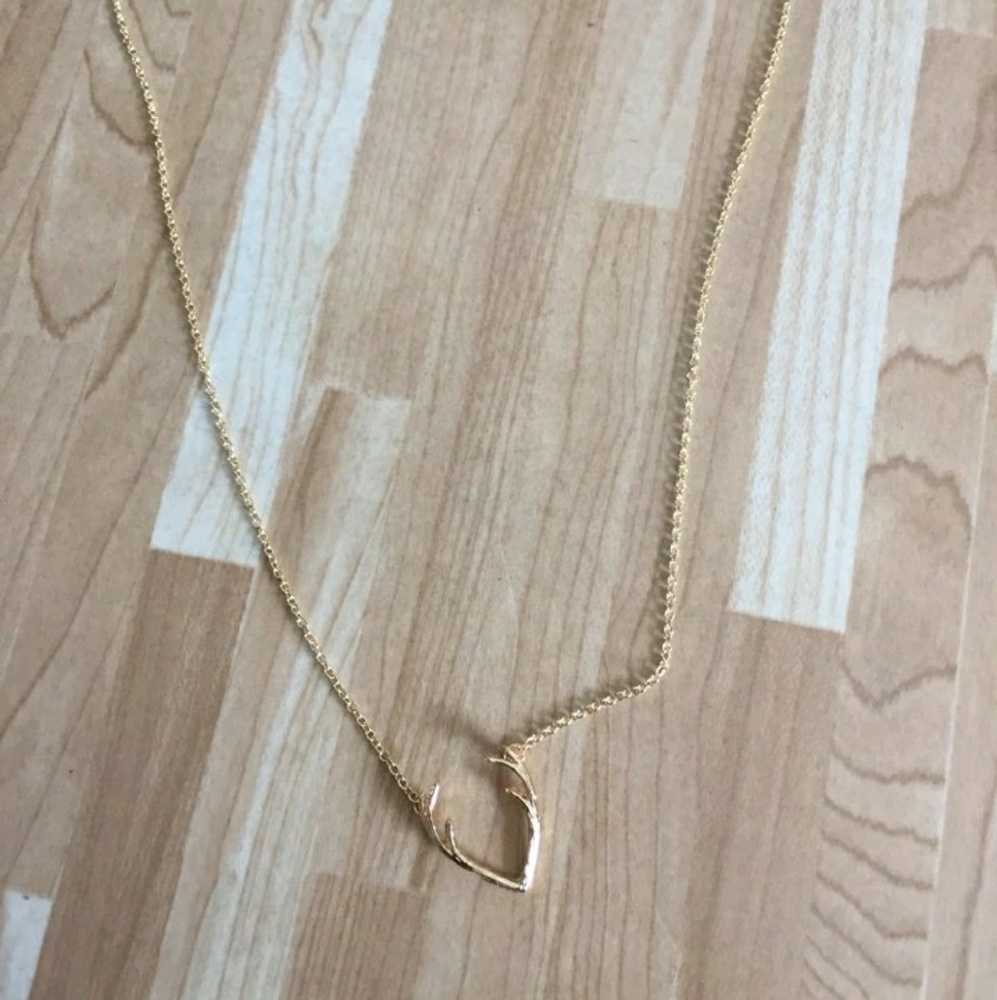 Antler Necklace - Picture 3 of 5