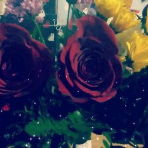 Meet your Posher, Tania