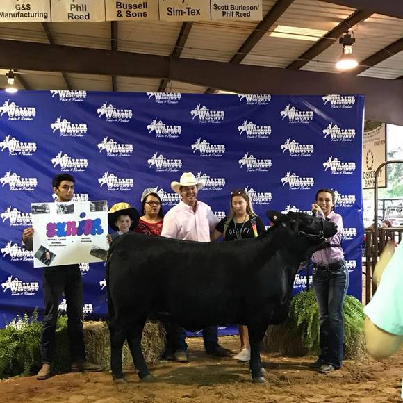 Meet your Posher, Yahaira - Picture 1 of 1