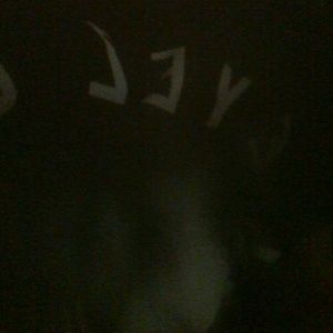 Meet your Posher, Joe