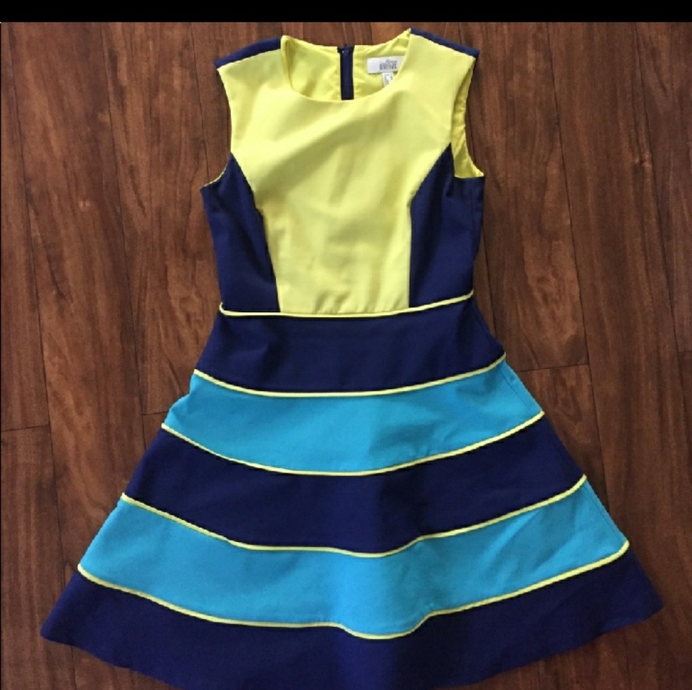 Badgley Mischka fit and flare dress