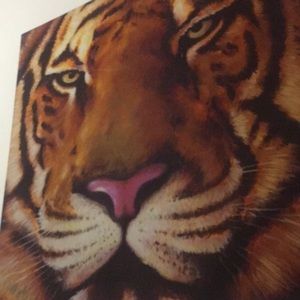 Meet your Posher, Liliana