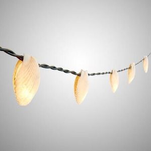 Clam Shell String Lights