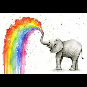 Meet your Posher, Molly