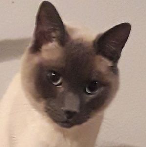 Meet your Posher, Michaeleen